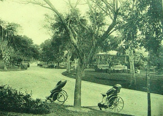 Vườn Bách Thảo Hà Nội.