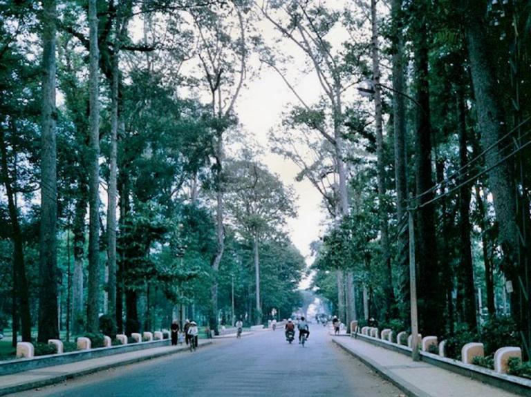 Con đường chạy qua công viên Tao Đàn.