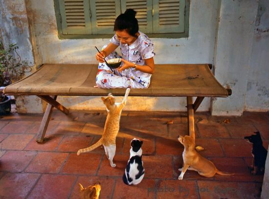  Bữa trưa của cô gái và đàn vật cưng, 1990.